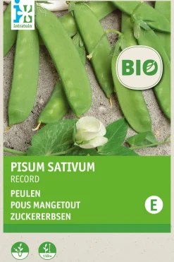 Intratuin Zuckererbse (Pisum sativum 'Record') (BIO) Samen| Gemüsesamen|Saatgut