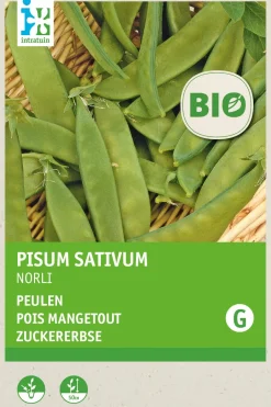 Intratuin Zuckererbse (Pisum sativum 'Norli') (BIO) Samen| Gemüsesamen|Saatgut