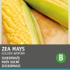 Intratuin Zuckermais (Zea mays 'Golden Bantam') Samen| Gemüsesamen|Saatgut