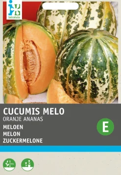 Intratuin Zuckermelone (Cucumis melo 'Oranje Ananas') Samen| Obstsamen|Saatgut