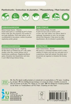 Intratuin Zuckermelone (Cucumis melo 'Oranje Ananas') Samen| Obstsamen|Saatgut