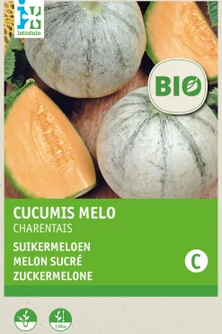 Intratuin Zuckermelone (Cucumis melo 'Charentails') (BIO) Samen| Obstsamen|Saatgut