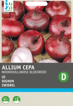 Intratuin Zwiebel (Allium cepa 'Verbesserte Braunschweiger') Samen| Gemüsesamen|Saatgut