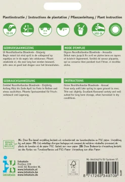 Intratuin Zwiebel (Allium cepa 'Verbesserte Braunschweiger') Samen| Gemüsesamen|Saatgut