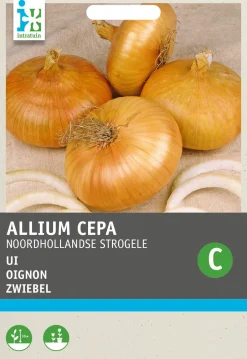 Intratuin Zwiebel (Allium cepa 'Strohgelbe') Samen| Gemüsesamen|Saatgut