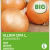Intratuin Zwiebeln (Allium cepa 'Rijnsburger 5') (BIO) Samen| Gemüsesamen|Saatgut