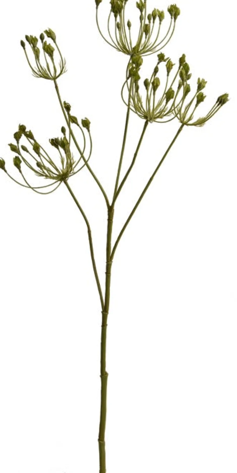 Intratuin Jasaco Kunstzweig Dill grün 82 cm| Künstliche Deko-Zweige