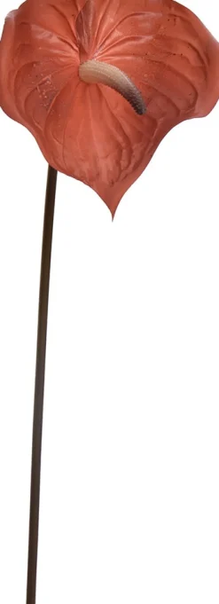 Intratuin Jasaco Pure Kunstblume Anthurie 67 cm braun| Kunstblumen