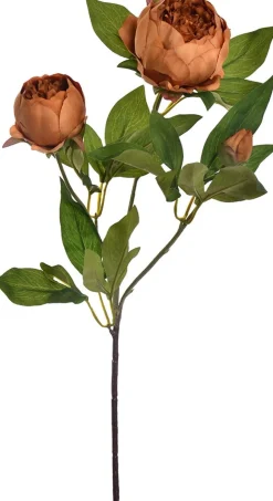 Intratuin Jasaco Pure Kunstblume Pfingstrose 72 cm braun| Kunstblumen