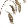 Intratuin Jasaco Pure Kunstzweig Reisähre 105 cm gold| Künstliche Deko-Zweige