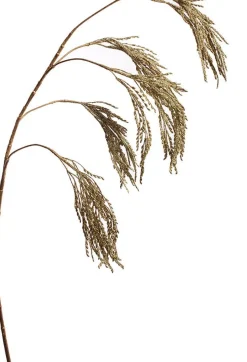 Intratuin Jasaco Pure Kunstzweig Reisähre 105 cm gold| Künstliche Deko-Zweige