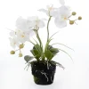 Intratuin Künstliche Orchidee (Phalaenopsis) im Topf D 43 cm weiß| Kunstpflanzen