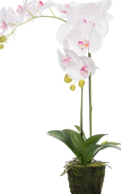 Intratuin Künstliche Orchidee (Phalaenopsis) im Topf D 40 H 70 cm weiß / rosa| Kunstpflanzen