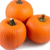 Intratuin Kürbis (Cucurbita 'Halloween') D 15 cm| Pflanzen Für Schatten|Einjährige Pflanzen