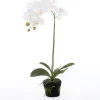 Intratuin Kunstpflanze Orchidee (Phalaenopsis) im Topf weiß D 30 cm H 60 cm| Kunstpflanzen
