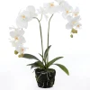 Intratuin Kunstpflanze Orchidee (Phalaenopsis) in Moos weiß D 33 cm H 67 cm| Kunstpflanzen
