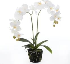 Intratuin Kunstpflanze Orchidee (Phalaenopsis) in Moos weiß D 33 cm H 67 cm| Kunstpflanzen