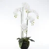 Intratuin Kunstpflanze Orchidee (Phalaenopsis) im Topf weiß 48 x 42 x 115 cm| Kunstpflanzen