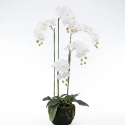 Intratuin Kunstpflanze Orchidee (Phalaenopsis) im Topf weiß 48 x 42 x 115 cm| Kunstpflanzen