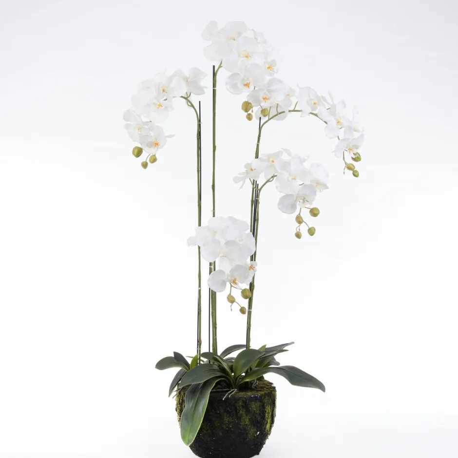 Intratuin Kunstpflanze Orchidee (Phalaenopsis) im Topf weiß 48 x 42 x 115 cm| Kunstpflanzen