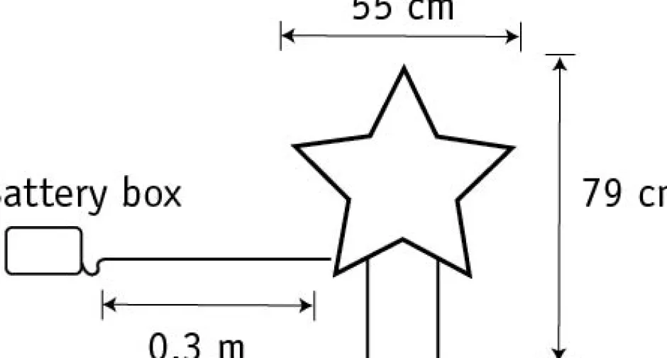 Intratuin Luca Lighting Gartenstecker Stern mit Timer warmweiß 55 x 1 x 79 cm| Weihnachtssterne|Weihnachtsfiguren (Außen)