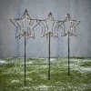 Intratuin Luca Lighting Gartenstecker Lux Stern mit Beleuchtung D 20 H 60 cm 3 St.| Weihnachtsfiguren (Außen)