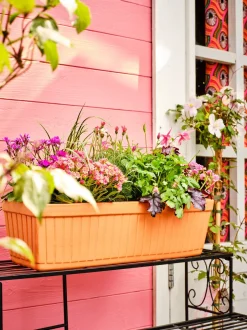 Intratuin Mega Collections Balkonkasten Floreira terrakotta 59 x 19 x 18 cm| Balkonkästen|Blumentöpfe & Pflanzgefäße