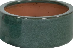 Intratuin Mega Collections Pflanzschale Sanne grün D 21 H 10 cm| Blumentöpfe|Blumentöpfe & Pflanzgefäße