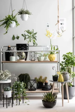 Intratuin Mica Decorations Blumentopf-Ständer Ascot schwarz D 8,5 cm H 9,5 cm| Blumenständer