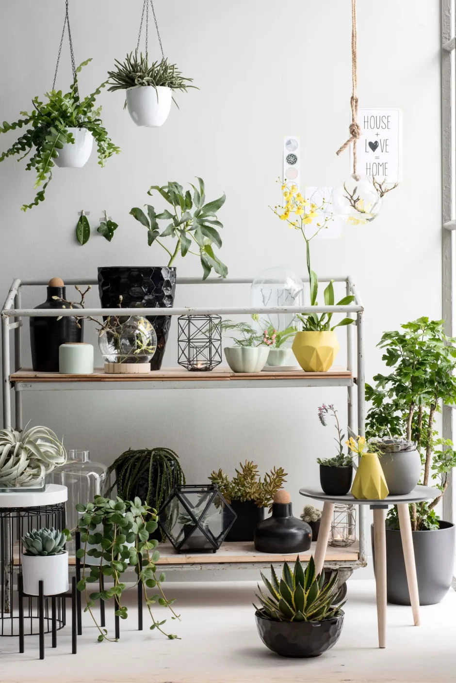 Intratuin Mica Decorations Blumentopf-Ständer Ascot schwarz D 8,5 cm H 9,5 cm| Blumenständer