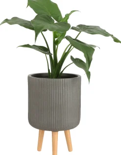 Intratuin Mica Decorations Blumentopf mit Füßen Nuovo D 30,5 H 46 cm braun| Blumentöpfe|Blumentöpfe & Pflanzgefäße