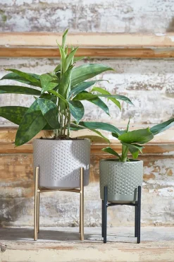 Intratuin Mica Decorations Blumentopf-Ständer Ascot gold D 11,5 cm H 12,5 cm| Blumenständer