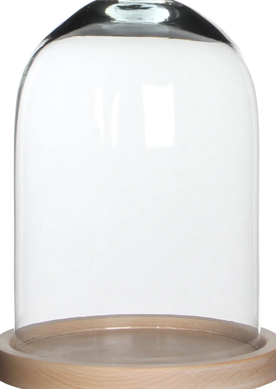 Intratuin Mica Decorations Glasglocke mit Teller Hella braun/transparent D 17 H 23 cm| Glasglocken