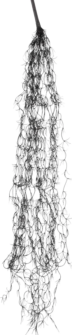 Intratuin Mica Decorations Kunstpflanze Tillandsia 115 x 11 x 5 cm zwart| Künstliche Hängepflanzen