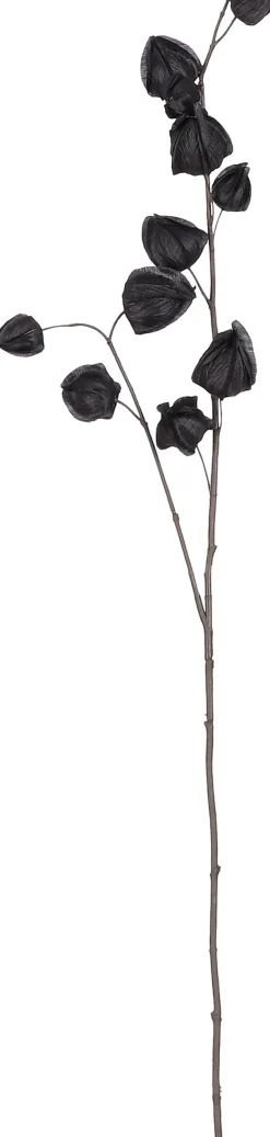 Intratuin Mica Decorations Kunstzweig Physalis 94 x 17 x 4 cm zwart| Künstliche Deko-Zweige