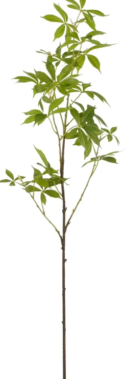 Intratuin Mica Decorations Kunstzweig Maniok (Cassave) grün L 108 cm| Künstliche Deko-Zweige