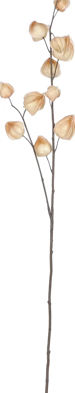 Intratuin Mica Decorations Kunstzweig Physalis 94 x 17 x 4 cm creme| Künstliche Deko-Zweige
