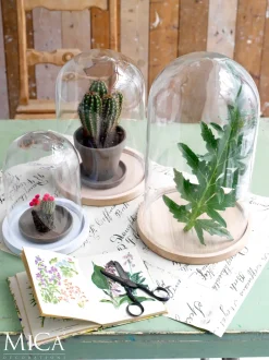 Intratuin Mica Decorations Teller für Glasglocke Hella Holz hell D 26 cm H 2 cm| Glasglocken