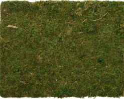 Intratuin Moosmatte getrocknet 30 x 40 cm grün| Weihnachts- & Adventsdeko