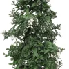 Intratuin Nachtschatten Pyramide (Solanum jasminoides) D 19 H 70 cm| Winterharte Pflanzen|Einjährige Pflanzen