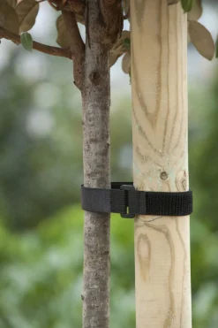 Intratuin Nature Baumbinder mit Klettverschluss und Schnalle 40 x 2,5 cm 2 St.| Rankhilfen|Bindematerial