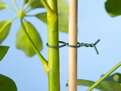 Intratuin Nature Bindedraht mit Kunststoff ummantelt 0,6 mm x 50 m grün| Rankhilfen|Bindematerial