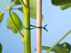 Intratuin Nature Bindedraht mit Metallkern 100 m grün| Rankhilfen|Bindematerial