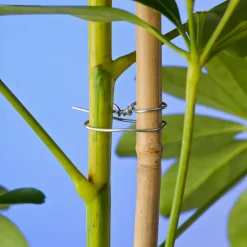 Intratuin Nature Bindedraht verzinkt D 0,7 mm x 50 m| Rankhilfen|Bindematerial