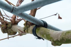 Intratuin Nature Gartenschnur D 3 mm, 50 m schwarz| Rankhilfen|Bindematerial