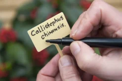 Intratuin Nature Gartenstifte wasserfest 2 St.| Anzucht-Zubehör