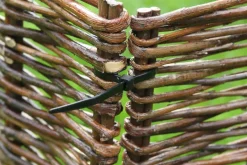 Intratuin Nature Kabelbinder 15 cm schwarz 25 St.| Rankhilfen|Bindematerial