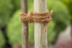 Intratuin Nature Kokosseil 15 m| Rankhilfen|Bindematerial