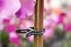 Intratuin Nature Pflanzenclips D 24 mm 10 St.| Rankhilfen|Bindematerial