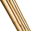 Intratuin Nature Pflanzstab Bambus H 60 cm D 6-8 mm 10 St.| Rankhilfen|Pflanzstäbe